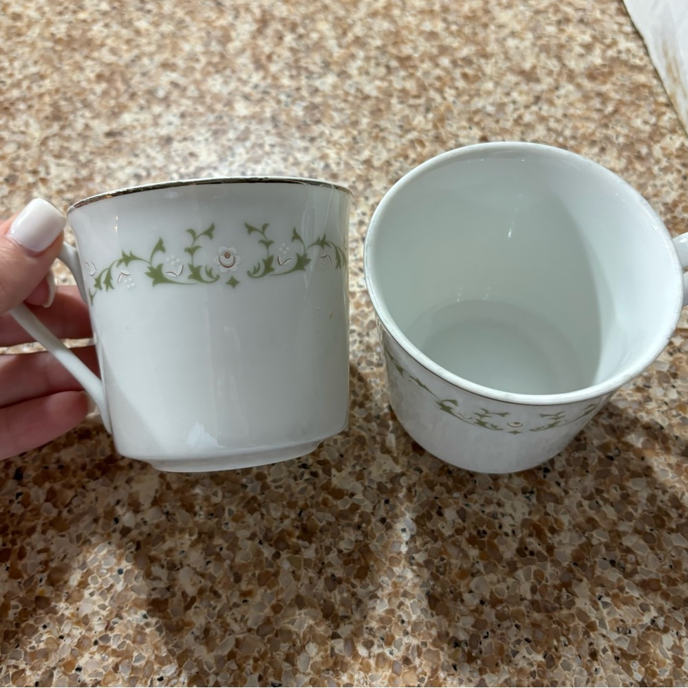 Sheffield fine China Japan Elegance 502
